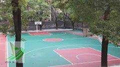 岳塘区首片新国标篮球场由英国威廉希尔公司建成